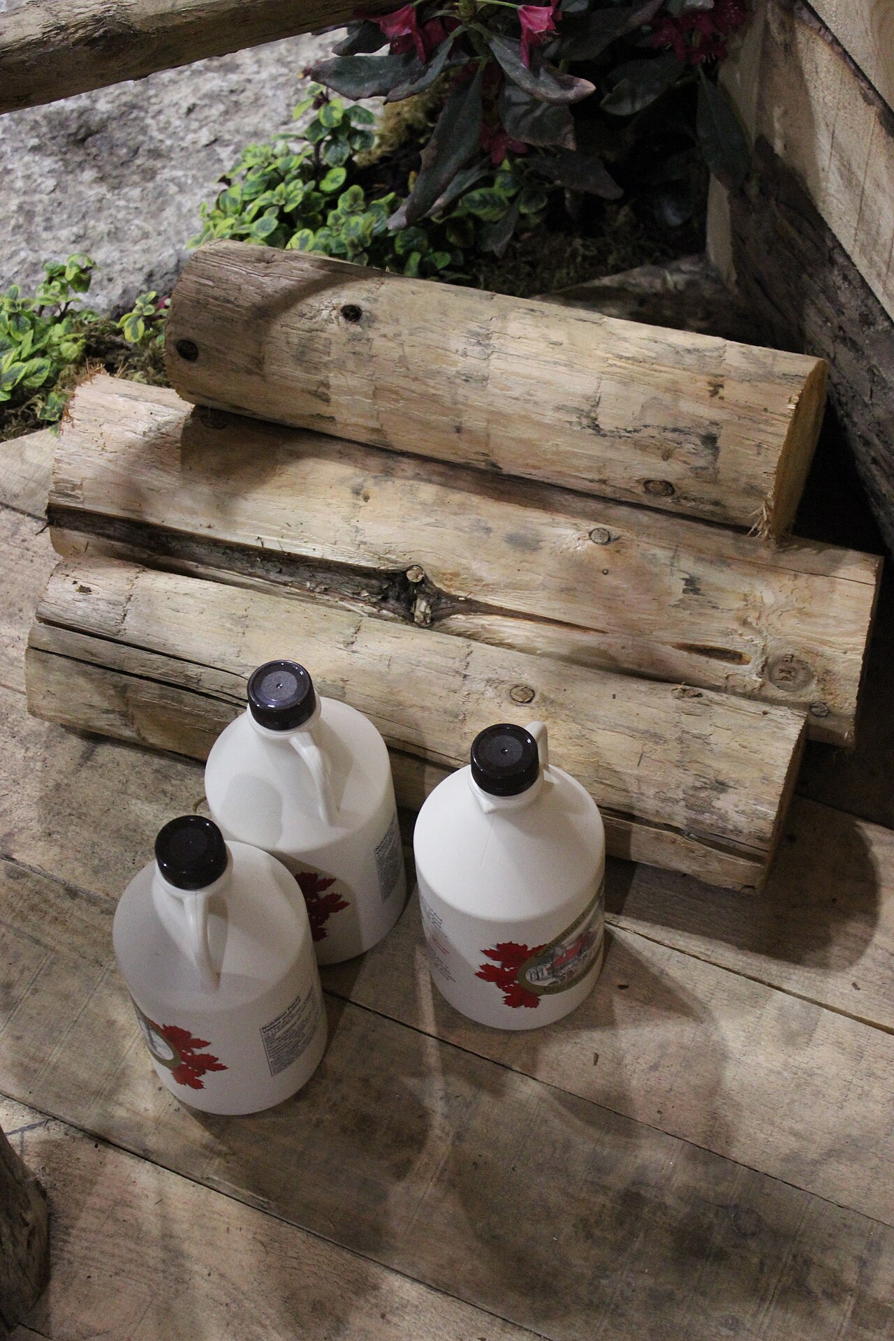 Canned Bottled Maple Syrup photo 1