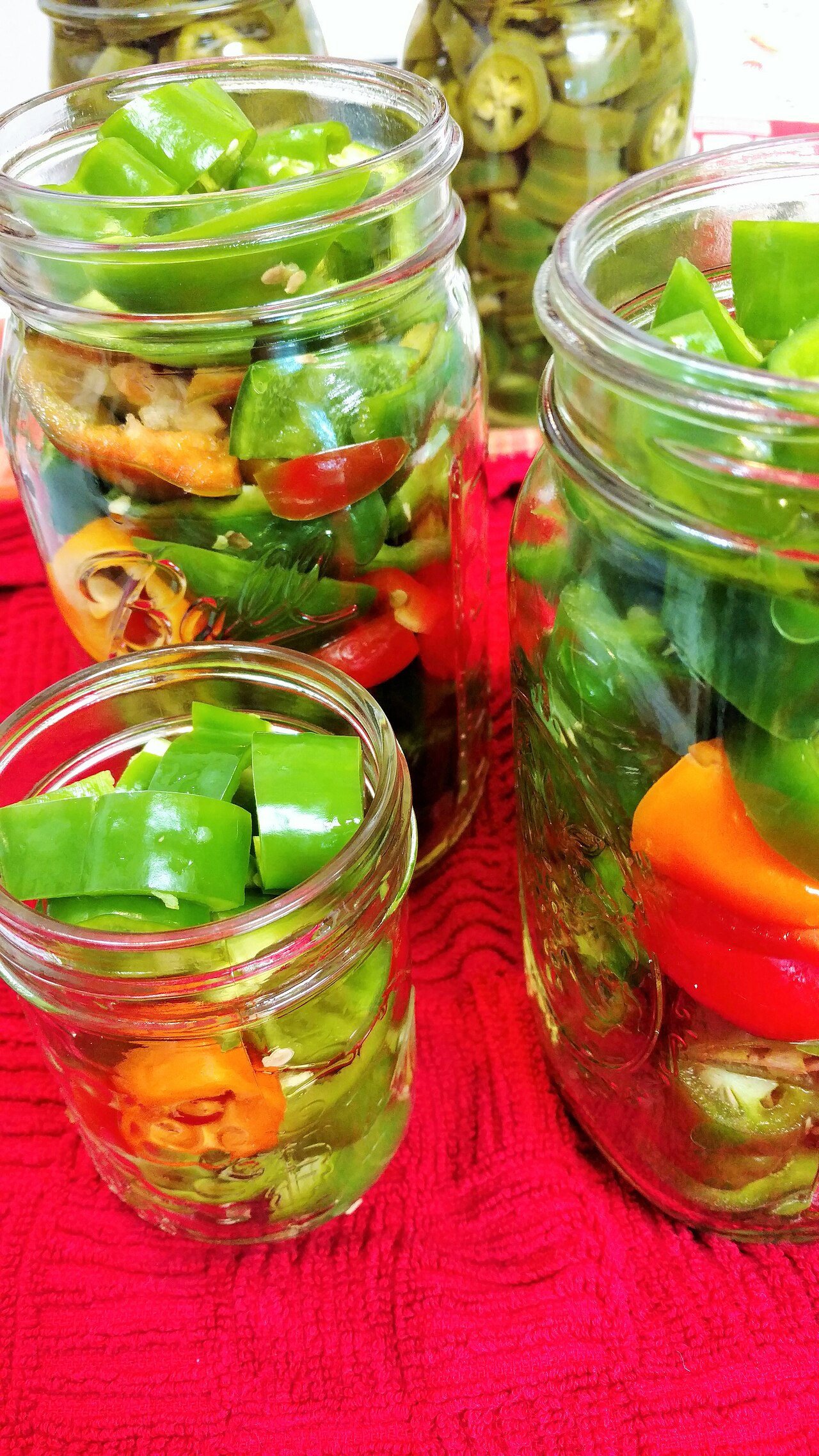 Refrigerator Quick Pickled Cucumbers (Not Shelf-Stable) photo 1